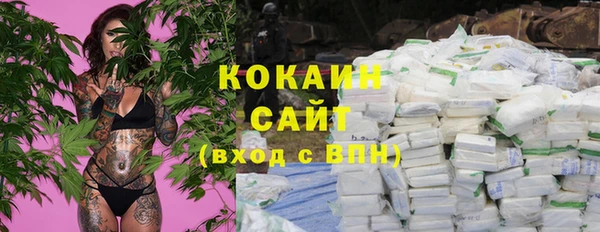 PSILOCYBIN Майский