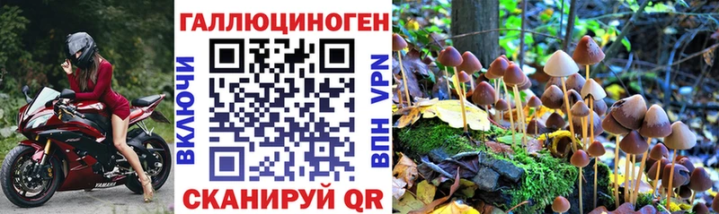KRAKEN   Долинск  Галлюциногенные грибы MAGIC MUSHROOMS 