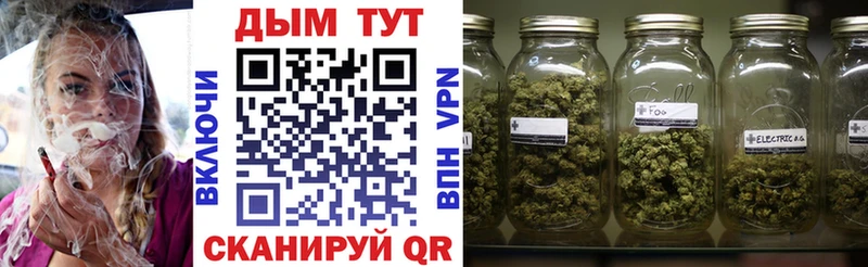 Каннабис SATIVA & INDICA  где можно купить наркотик  Долинск 